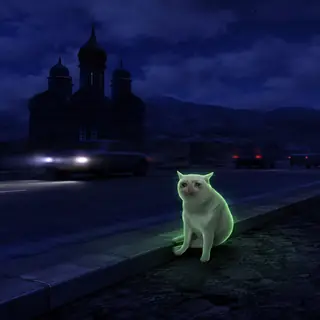 The cat sitting on a curb at night watching cars