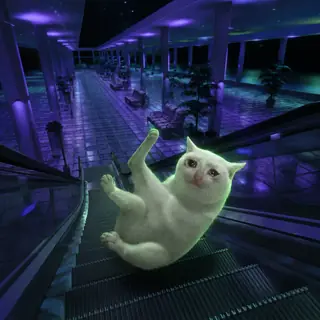 The cat tumbling down a long escalator